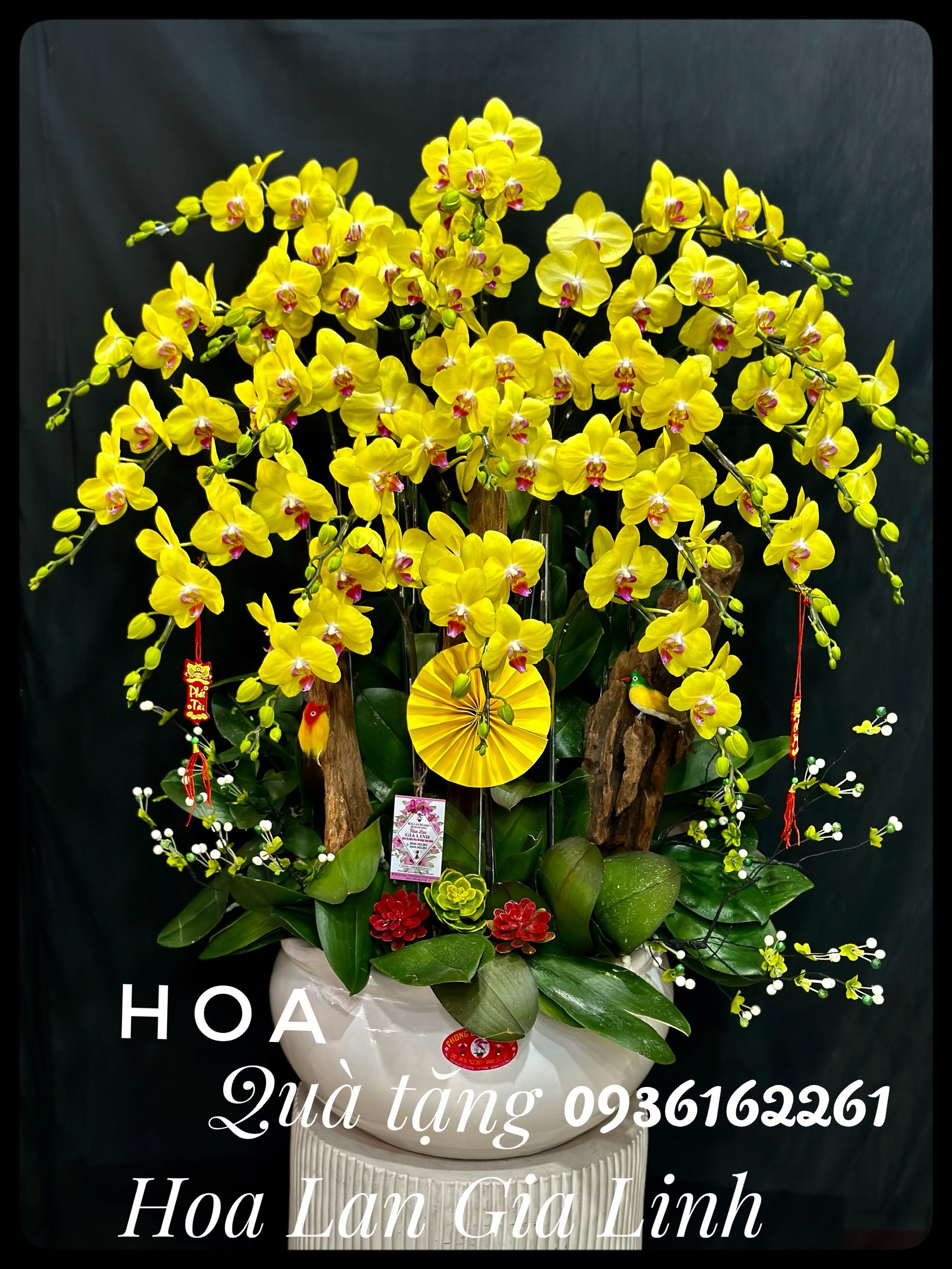 Cửa hàng hoa lan hồ điệp Phong Lan Gia Linh